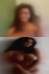 There horny women Willcox